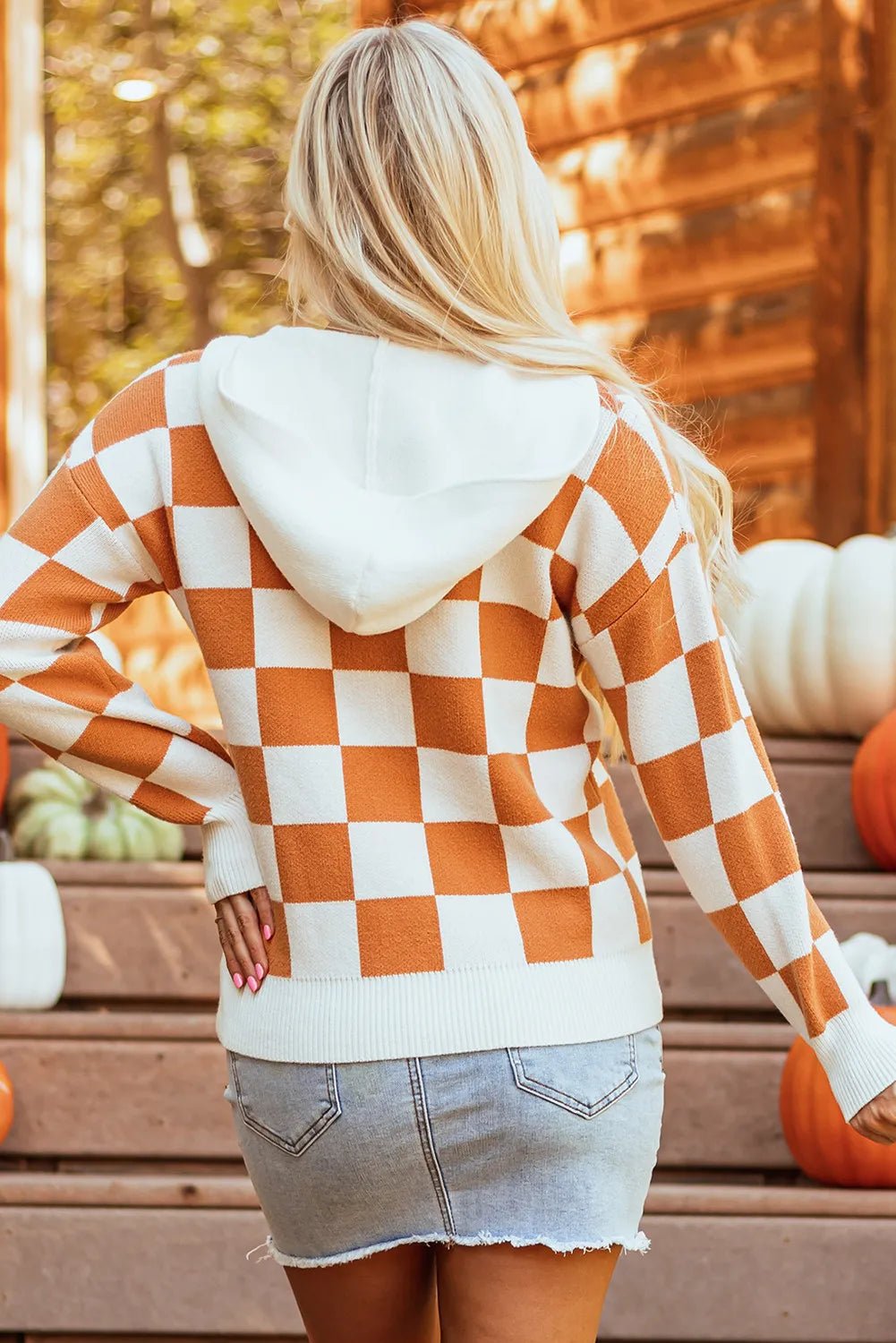 Checkered Long Sleeve Hooded Sweater - Loulou Boutique