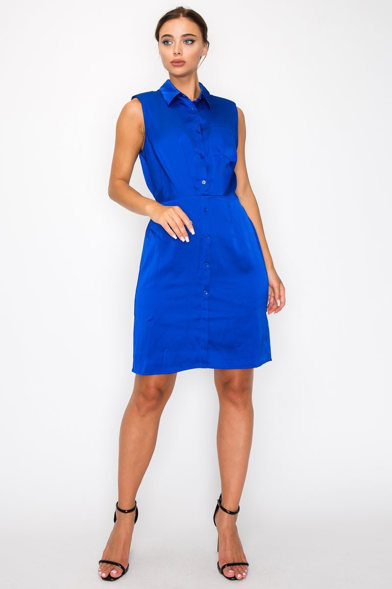 Button - down Pleated Shirt Dress - Loulou Boutique